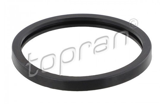 Gasket, thermostat