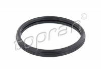 Gasket, thermostat