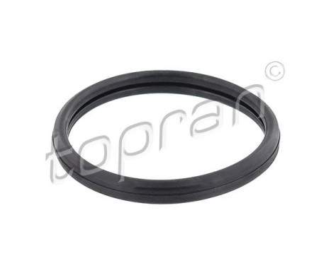 Gasket, thermostat