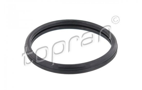 Gasket, thermostat