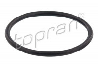 Gasket, thermostat