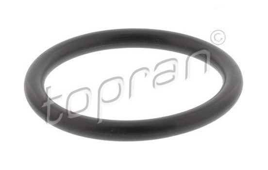 Gasket, thermostat