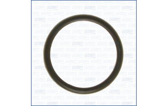 Gasket, thermostat