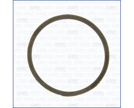 Gasket, thermostat