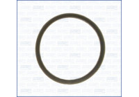 Gasket, thermostat