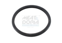Gasket, thermostat