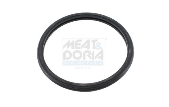 Gasket, thermostat