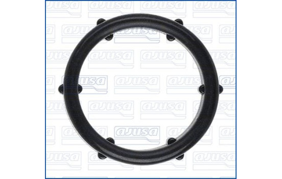 Gasket, thermostat