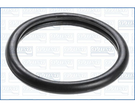 Gasket, thermostat, Image 2