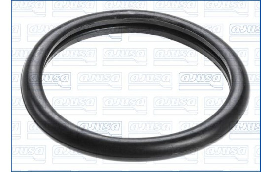 Gasket, thermostat, Image 2