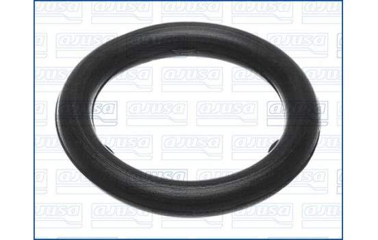 Gasket, thermostat