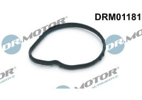Gasket, thermostat