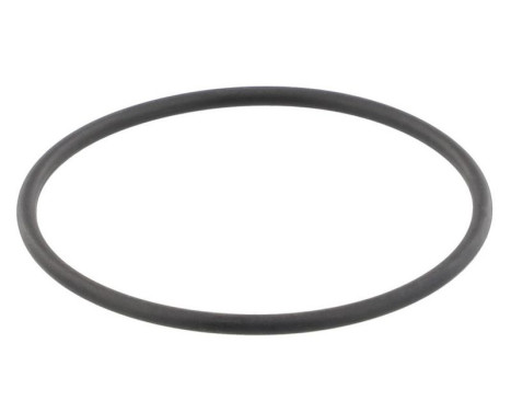 Gasket, thermostat
