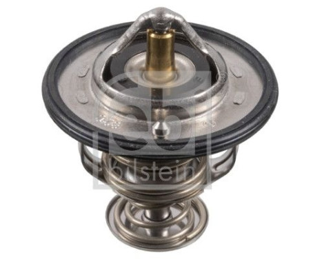 thermostat 107698 FEBI, Image 2