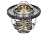 thermostat 179755 FEBI