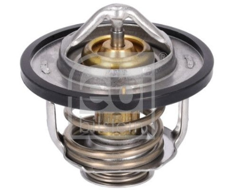 thermostat 179755 FEBI