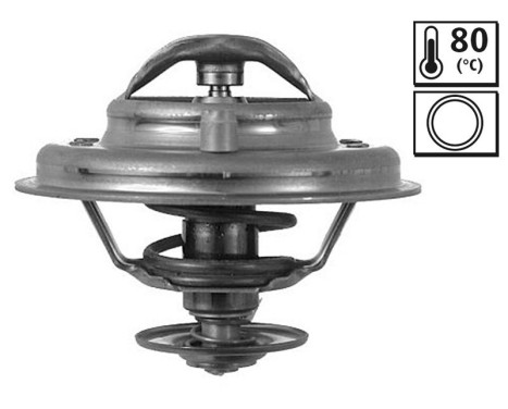 Thermostat BMW/FOR/LAND ROVER/OPL 820064 Valeo