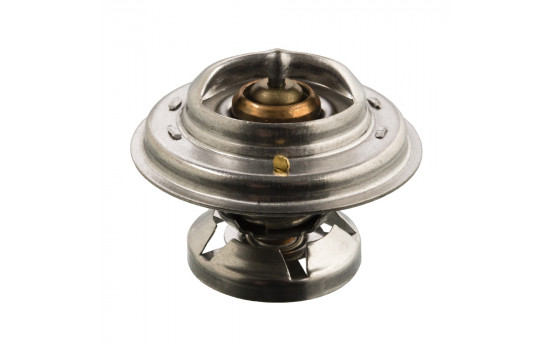 Thermostat, coolant 09698 FEBI