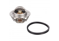 Thermostat, coolant 104766 FEBI