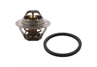 Thermostat, coolant 104794 FEBI