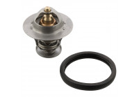 Thermostat, coolant 106104 FEBI