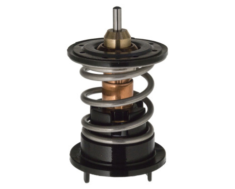 Thermostat, coolant 106284 FEBI