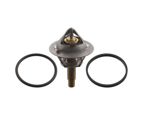 Thermostat, coolant 106507 FEBI