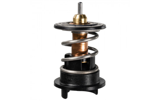 Thermostat, coolant 171912 FEBI