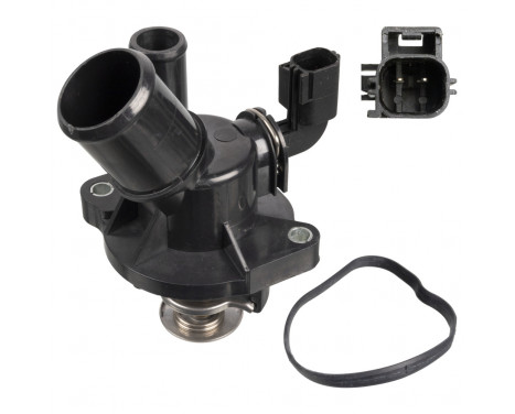 Thermostat, coolant 172970 FEBI