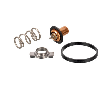 Thermostat, coolant 173111 FEBI