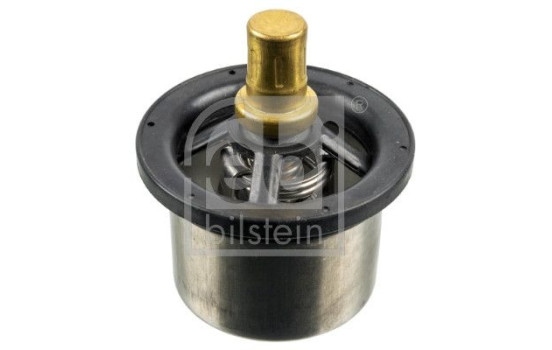 Thermostat, coolant 173716 FEBI