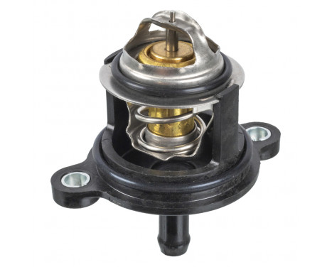 Thermostat, coolant 173939 FEBI