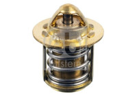 Thermostat, coolant 174444 FEBI