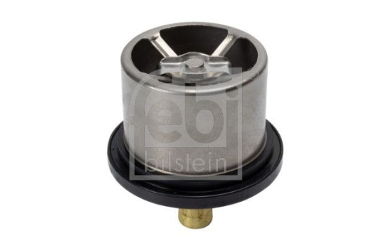Thermostat, coolant 176580 FEBI