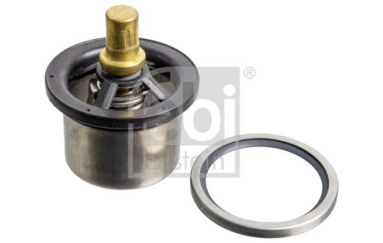 Thermostat, coolant 176650 FEBI