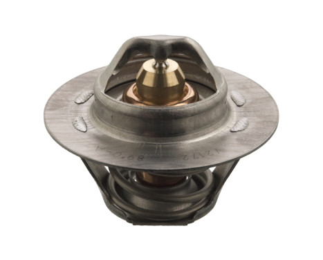 Thermostat, coolant 17694 FEBI