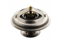 Thermostat, coolant 17916 FEBI