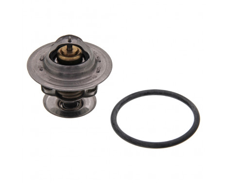 Thermostat, coolant 17978 FEBI