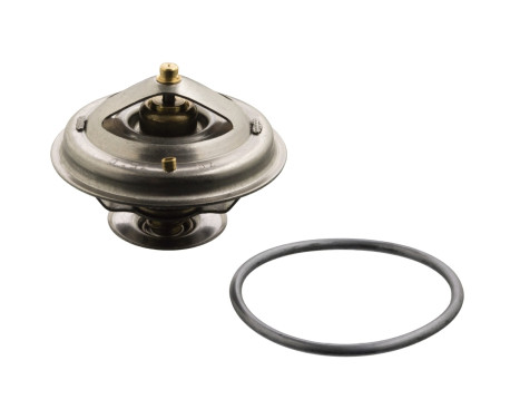 Thermostat, coolant 18294 FEBI
