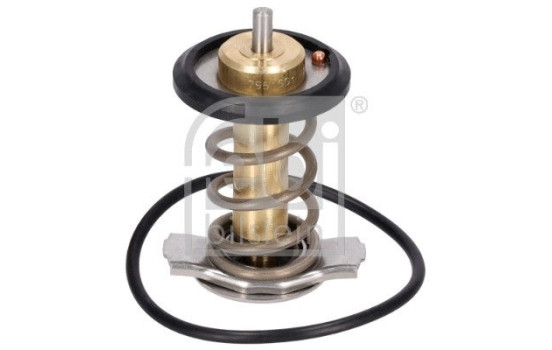 Thermostat, coolant 185598 FEBI