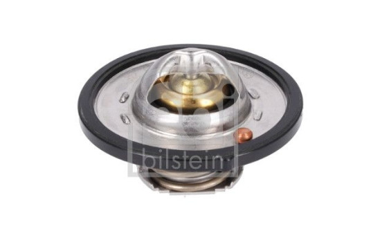 Thermostat, coolant 193096 FEBI