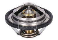 Thermostat, coolant 196060 FEBI