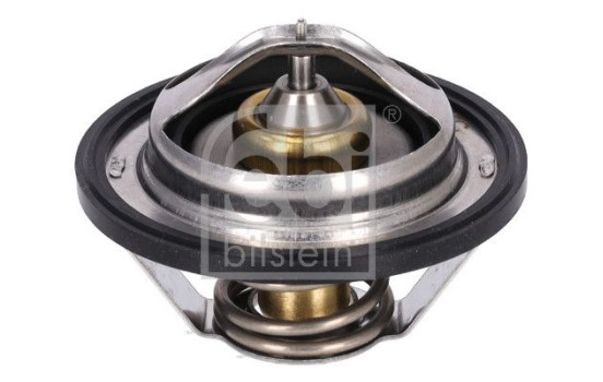 Thermostat, coolant 196060 FEBI