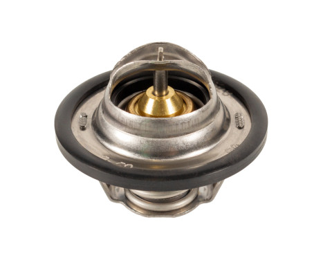 Thermostat, coolant 24028 FEBI
