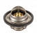 Thermostat, coolant 24028 FEBI