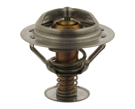 Thermostat, coolant 24555 FEBI