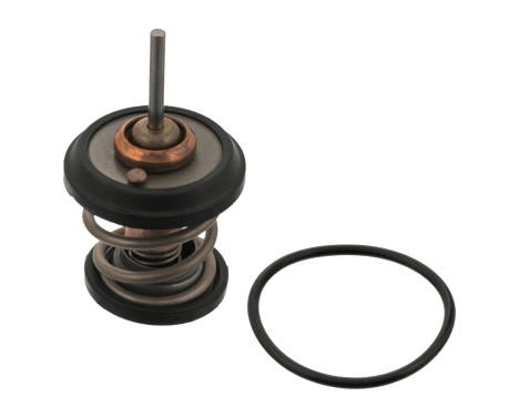 Thermostat, coolant 34782 FEBI