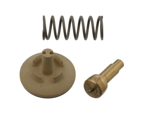 Thermostat, coolant 34978 FEBI