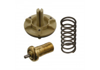 Thermostat, coolant 36397 FEBI