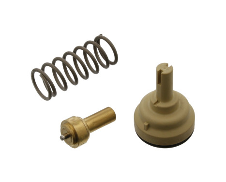 Thermostat, coolant 36648 FEBI